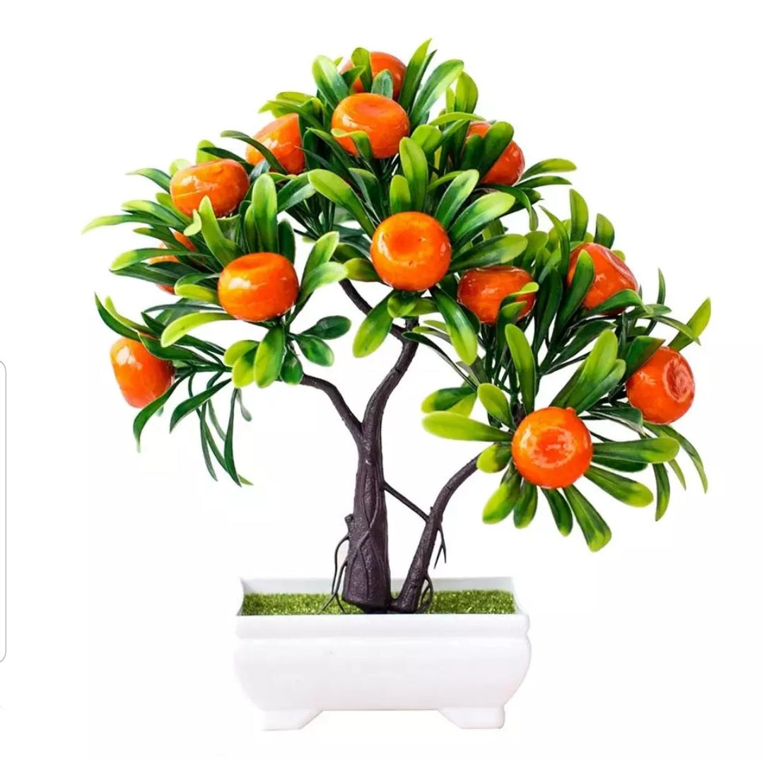 Beautiful Fruit Bonsai Tree for Home Decor