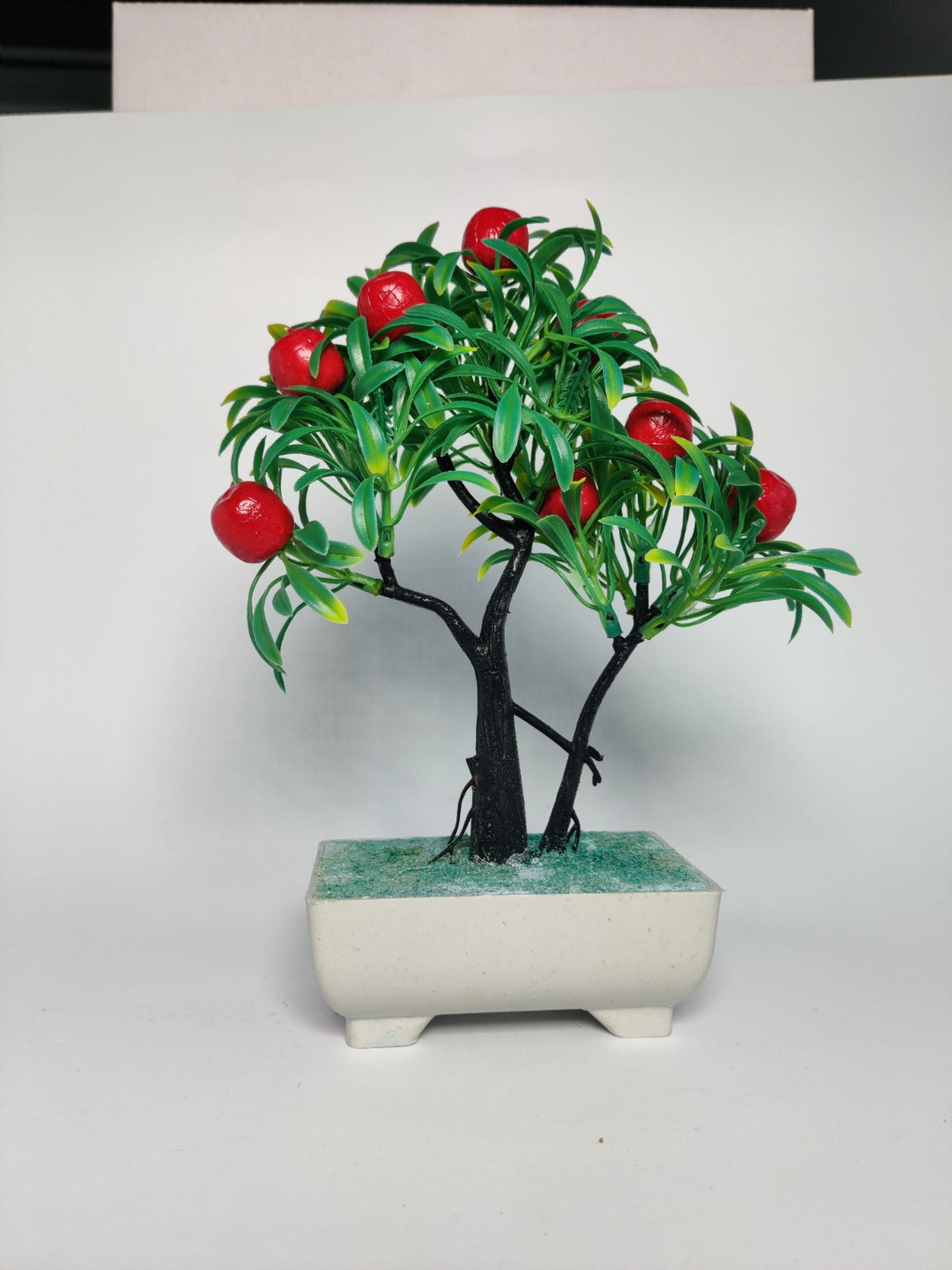 Beautiful Fruit Bonsai Tree for Home Decor